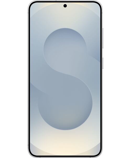 Samsung Galaxy S25 5G Dual SIM Silver Shadow