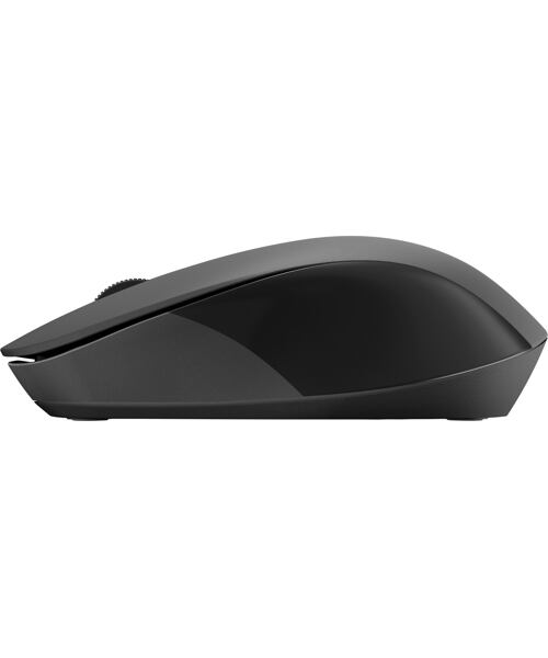 HP 150 WRLS Mouse EURO