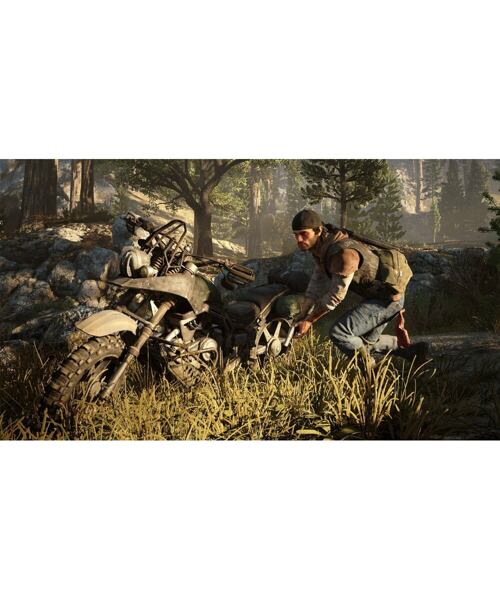Sony PS4 - Days Gone