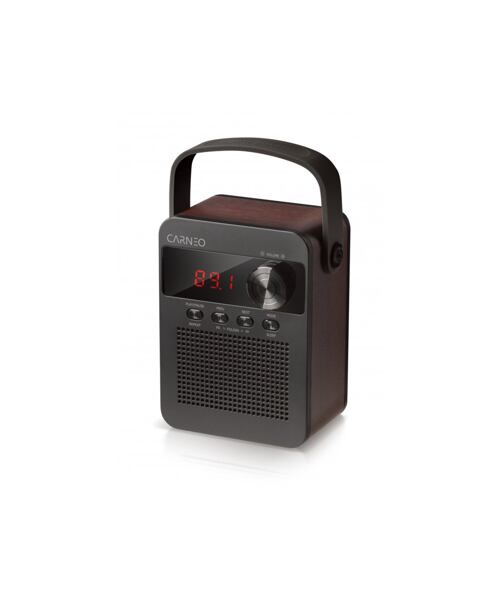 CARNEO F90 FM rádio, BT reproduktor, black/wood