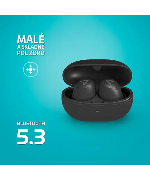 LAMAX Buds1 ANC Black