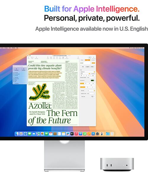 Apple Mac Mini M4 Silver 