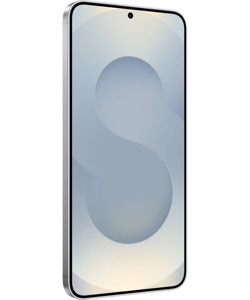 Samsung Galaxy S25 5G Dual SIM Silver Shadow