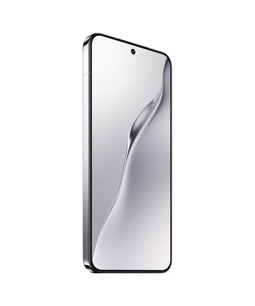 Xiaomi 15 5G Dual SIM Silver